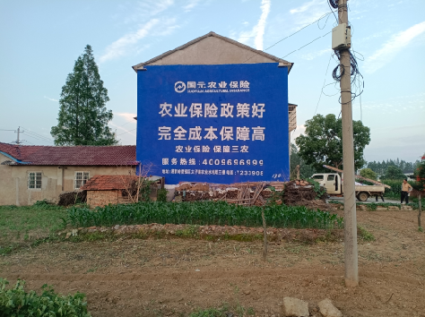 雷波墙体广告为何受追捧？