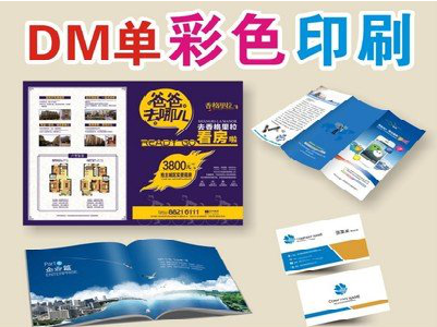 雷波单页印刷，色彩搭配简单。